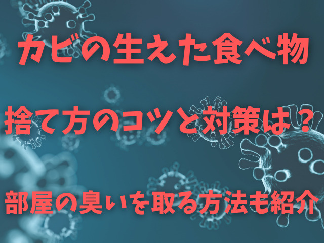 カビの生えた食べ物の捨て方のコツは 対策と部屋の臭いを取る方法も紹介 Populara