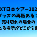 TXT日本ツアー2022グッズの再販ある？売り切れの場合の買える場所がどこかを調査