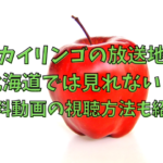 アカイリンゴの放送地域で北海道では見れない？無料動画の視聴方法も紹介