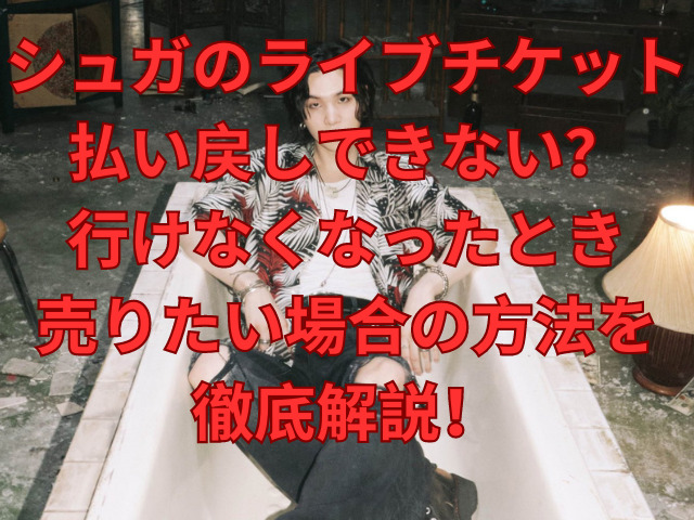 シュガのライブチケット払い戻しできない？行けなくなったとき売りたい場合のやり方を徹底解説