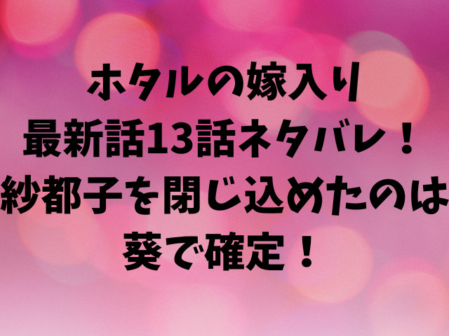 ホタルの嫁入り最新話13話ネタバレ！紗都子を閉じ込めたのは葵で確定！