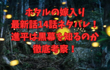 ホタルの嫁入り最新話14話ネタバレ！進平は黒幕を知るのかも徹底考察！