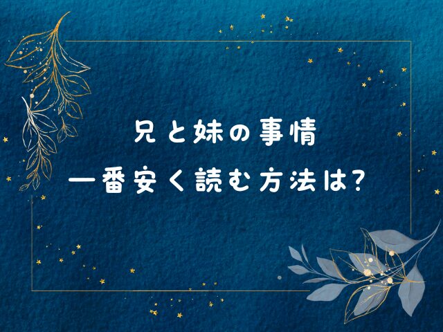 兄と妹の事情はhitomiで読むのは危険！一番安く読む方法は？